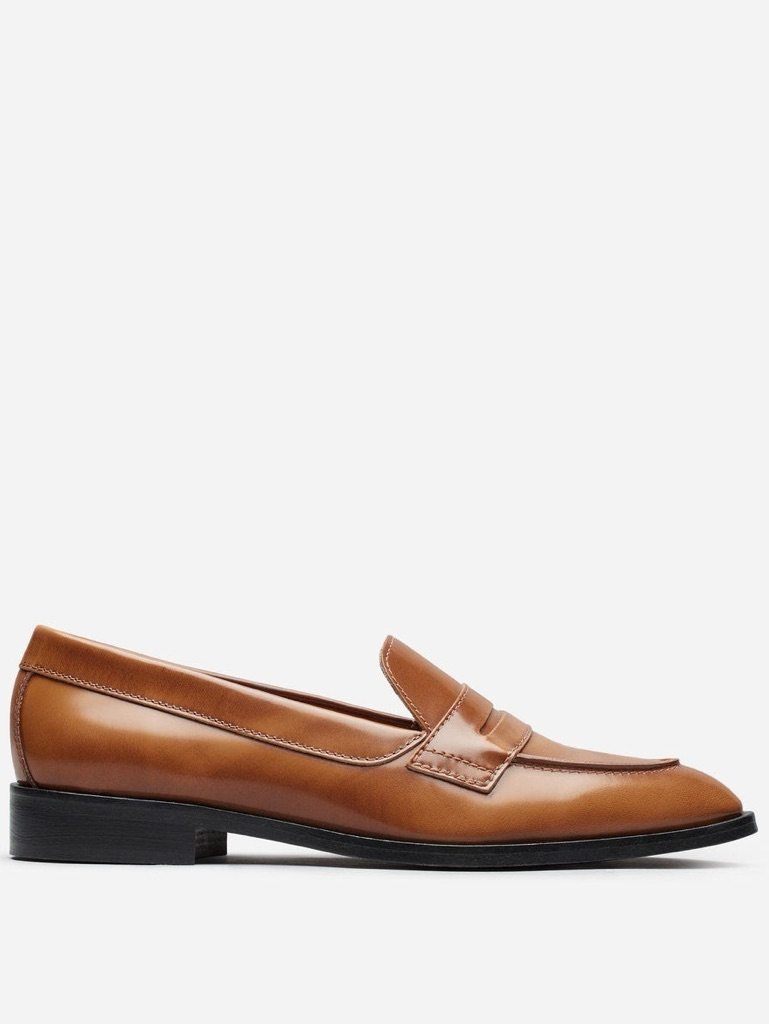 Everlane Penny Loafers In Cognac Leather